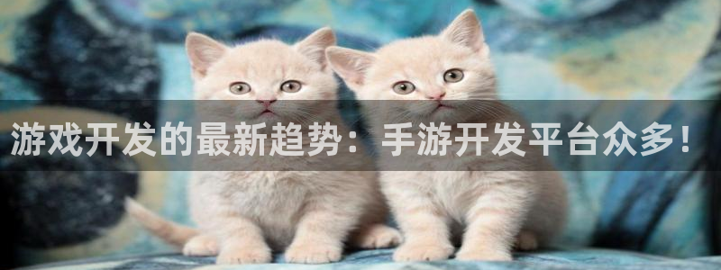 V8娱乐：游戏开发的最新趋势：手游开发平台众多！