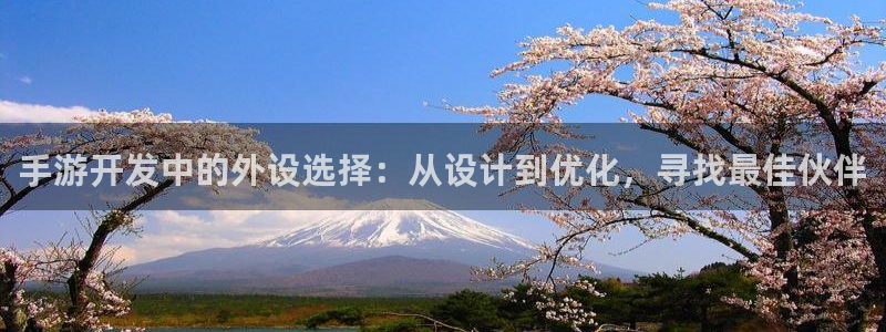 V8娱乐登录：手游开发中的外设选择：从设计到优化，寻找最佳伙