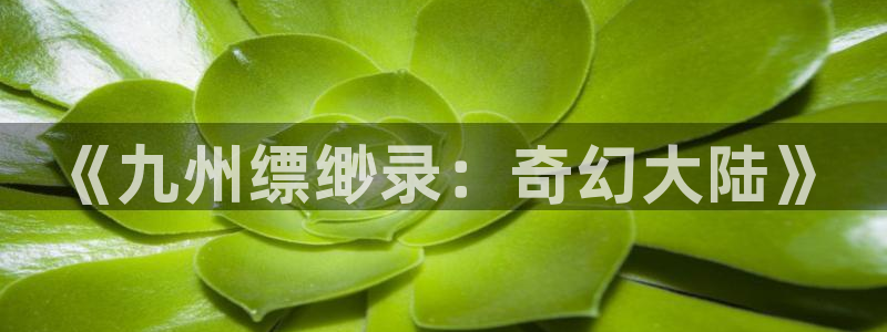 V8娱乐注册：《九州缥缈录：奇幻大陆》