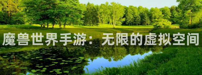 V8娱乐登录：魔兽世界手游：无限的虚拟空间