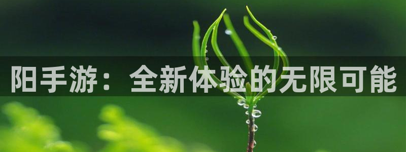 V8娱乐注册：阳手游：全新体验的无限可能