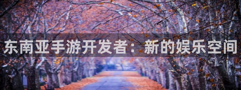 V8娱乐官网：东南亚手游开发者：新的娱乐空间
