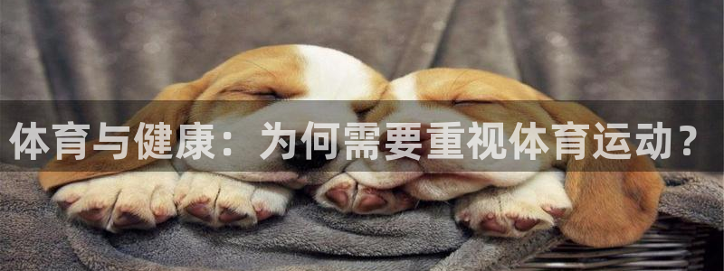 谈球吧体育