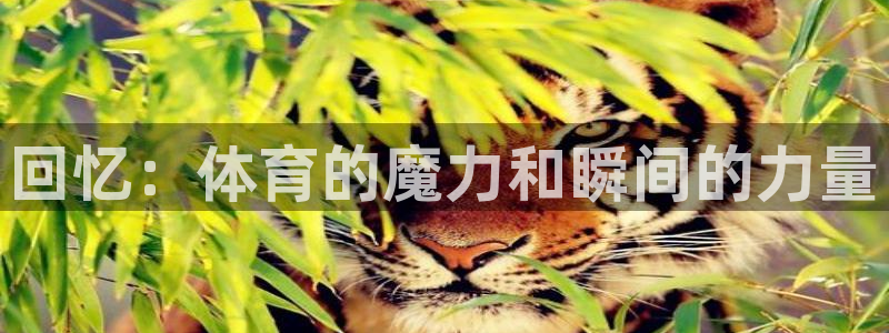 谈球吧体育官网