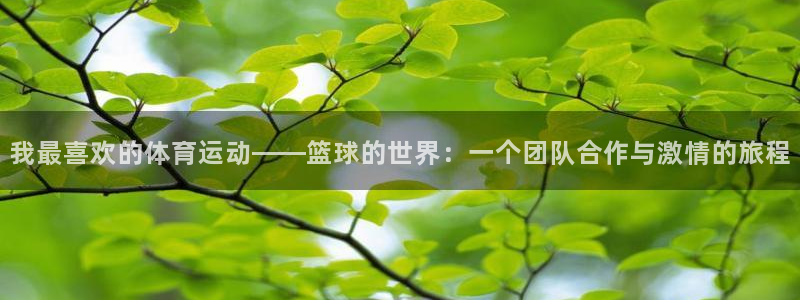 谈球吧体育